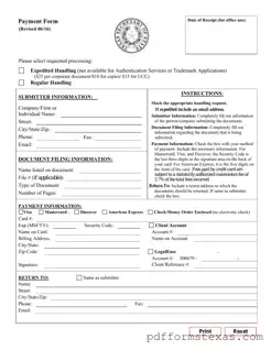 Get Texas Sos Payment 807 Form